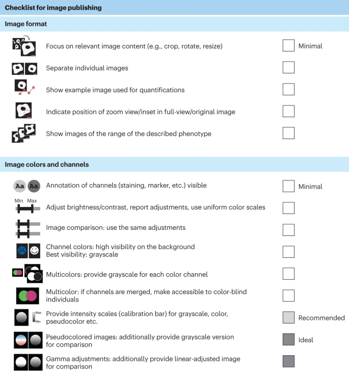 Liste de contrôle pour la publication d’images, couvrant les aspects du format d’image et des couleurs/canaux. La liste comprend des exigences telles que l'accent mis sur le contenu pertinent (recadrage, rotation, redimensionnement), la séparation des images individuelles et l’inclusion d’exemples pour la quantification. Elle insiste sur la visibilité des annotations, l’ajustement de la luminosité/du contraste, l’uniformité des comparaisons d’images et l’accessibilité des couleurs pour les personnes daltoniennes. Les étapes recommandées incluent l'ajout de versions en niveaux de gris, d'échelles d'intensité et d'ajustements comme la correction gamma et la pseudocoloration.