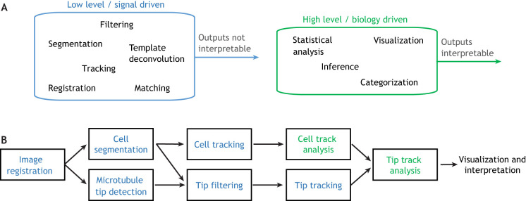 Diagramme illustrant la hiérarchie du traitement d'images en recherche biologique. La première section (A) distingue les processus de bas niveau pilotés par le signal, tels que le filtrage, la segmentation, le suivi et l'enregistrement, qui génèrent des sorties non directement interprétables, et les processus de haut niveau pilotés par la biologie, comme l'analyse statistique, l'inférence, la visualisation et la catégorisation, qui produisent des sorties interprétables. La deuxième section (B) présente un flux de travail commençant par l'enregistrement des images, suivi de la segmentation, du suivi, du filtrage et de l'analyse, menant à la visualisation et à l'interprétation.