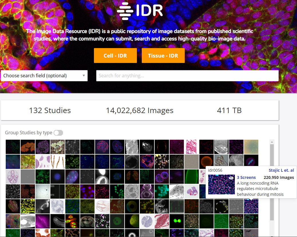 Capture d'écran du site Web de l'Image Data Resource (IDR), un dépôt public de jeux de données bio-imagerie issus d'études scientifiques. L'interface propose des options pour rechercher des ensembles de données, filtrer par type et accéder à des études spécifiques. L'image met en évidence des statistiques telles que 132 études, plus de 14 millions d'images et 411 To de données, avec un aperçu sous forme de grille des images de microscopie disponibles.