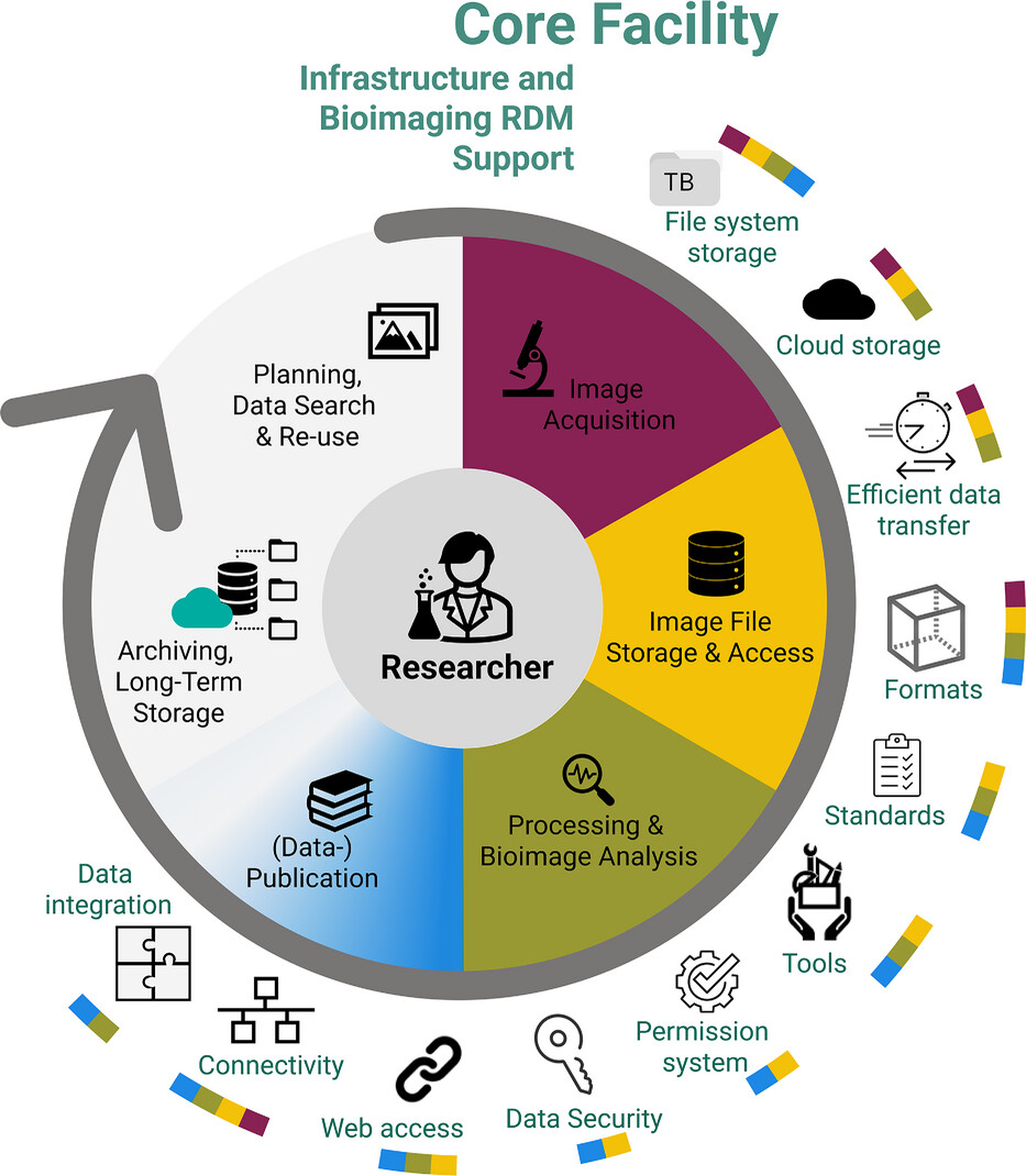 Un diagramme circulaire illustrant le cycle de vie de la gestion des données de recherche (GDR) en bioimagerie, intitulé 'Core Facility: Infrastructure and Bioimaging GDR Support.' Au centre, une icône représentant un chercheur symbolise l’utilisateur interagissant avec les différentes étapes du flux de travail. Le cycle de vie est divisé en segments : 'Acquisition d’image' (violet), 'Stockage et accès aux fichiers d’image' (jaune), 'Traitement et analyse des bioimages' (vert), 'Publication des données' (bleu), 'Archivage et stockage à long terme' (gris clair) et 'Planification, recherche et réutilisation des données' (gris). Autour du cercle extérieur, divers éléments d’infrastructure de soutien sont représentés, notamment le stockage cloud, le stockage en système de fichiers, le transfert efficace de données, les formats, les standards, les outils, les systèmes de permission, la sécurité des données, l’accès web, la connectivité et l’intégration des données. Le diagramme met en évidence une approche structurée de la gestion et du soutien des données de recherche en bioimagerie.