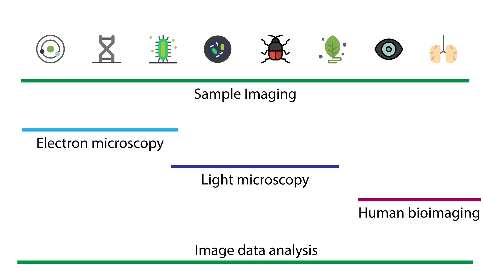 Un diagramme illustrant différents types de techniques d’imagerie biologique et leurs applications. La section supérieure, intitulée 'Sample Imaging' (imagerie d’échantillons), comprend des icônes représentant divers domaines de recherche tels que la biologie moléculaire, la génétique, la microbiologie et l’anatomie. En dessous, trois modalités d’imagerie sont représentées : 'Electron microscopy' (microscopie électronique en bleu clair), 'Light microscopy' (microscopie optique en bleu foncé) et 'Human bioimaging' (imagerie biomédicale en rouge foncé), indiquant leurs domaines d’application. En bas, 'Image data analysis' (analyse des données d’imagerie) est mentionné, soulignant l’aspect computationnel du traitement des images. Le diagramme met en évidence le rôle de l’imagerie dans plusieurs disciplines de recherche.
