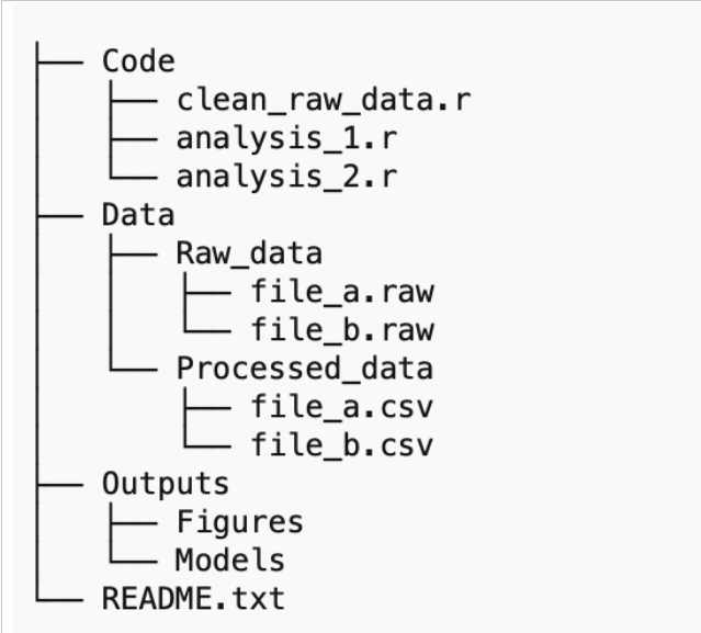Un arbre de répertoires structuré représentant un projet de recherche organisé. Les dossiers de premier niveau incluent 'Code,' contenant des scripts R pour le nettoyage et l'analyse des données ('clean_raw_data.r,' 'analysis_1.r,' 'analysis_2.r'); 'Data,' divisé en 'Raw_data' (avec les fichiers bruts 'file_a.raw' et 'file_b.raw') et 'Processed_data' (contenant les fichiers CSV nettoyés 'file_a.csv' et 'file_b.csv'); 'Outputs,' qui comprend des sous-dossiers pour 'Figures' et 'Models'; ainsi qu'un fichier 'README.txt'. Cette organisation suit les bonnes pratiques pour la gestion des données de recherche.