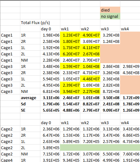 Example of bad data formatting, showcasing a spreadsheet with combined cells and different variables in the same column. We also see color codes that must not be defined in a data spreadsheet.