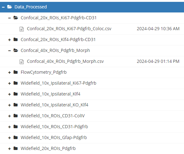 A screenshot of a structured directory containing organized processed data.