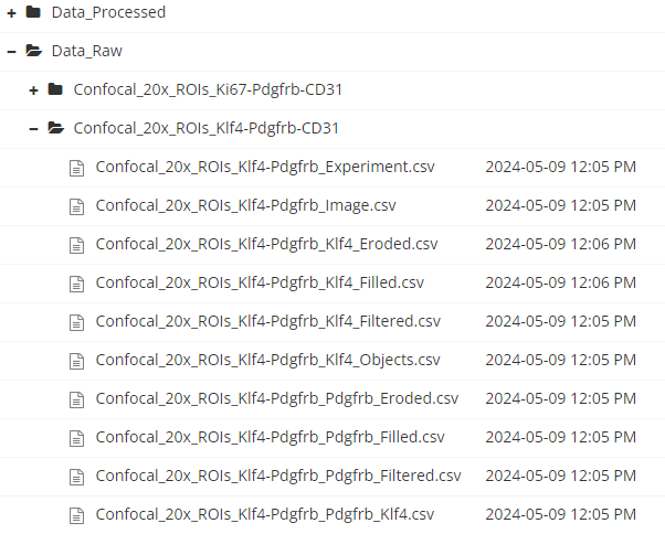 A screenshot of a structured directory containing organized raw data.