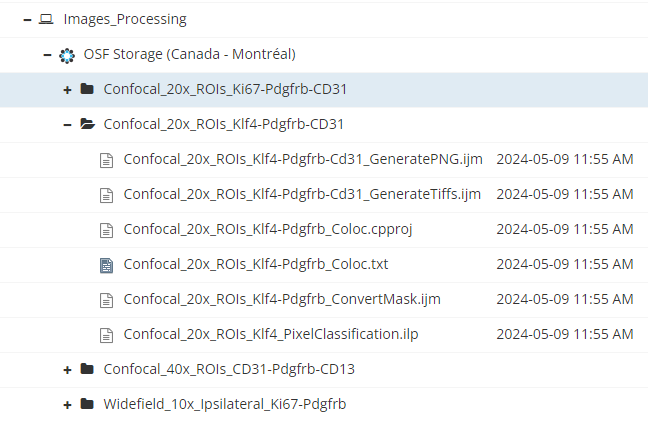 A screenshot of a structured directory containing organized analysis data.