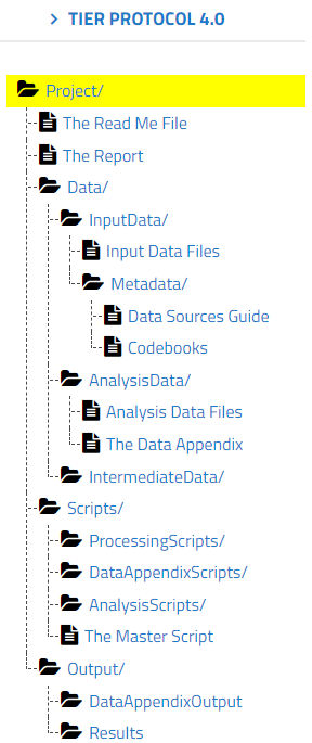 A hierarchical directory structure following the TIER Protocol 4.0 for research data organization. The top-level 'Project/' folder contains key documents such as 'The Read Me File' and 'The Report.' The 'Data/' folder is divided into 'InputData/' (with 'Input Data Files' and 'Metadata' subfolders, including 'Data Sources Guide' and 'Codebooks'), 'AnalysisData/' (with 'Analysis Data Files' and 'The Data Appendix'), and 'IntermediateData/'. The 'Scripts/' folder includes subfolders for 'ProcessingScripts/', 'DataAppendixScripts/', 'AnalysisScripts/', and 'The Master Script.' The 'Output/' folder contains 'DataAppendixOutput' and 'Results.' This structure ensures transparency and reproducibility in research data management.